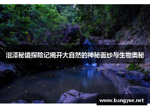 沼泽秘境探险记揭开大自然的神秘面纱与生物奥秘